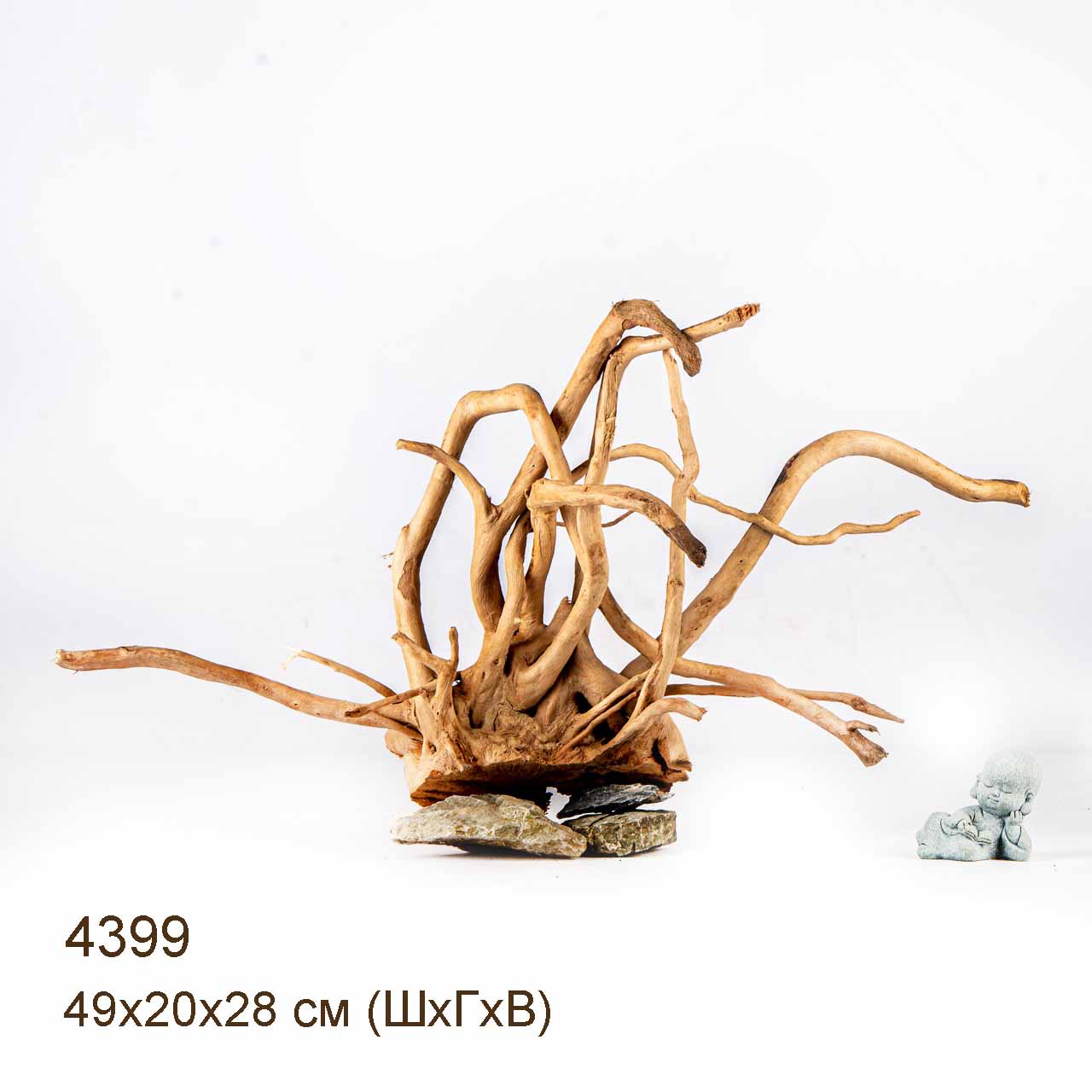 Коряга MASHA BLOOM Корень азалии L - 4399