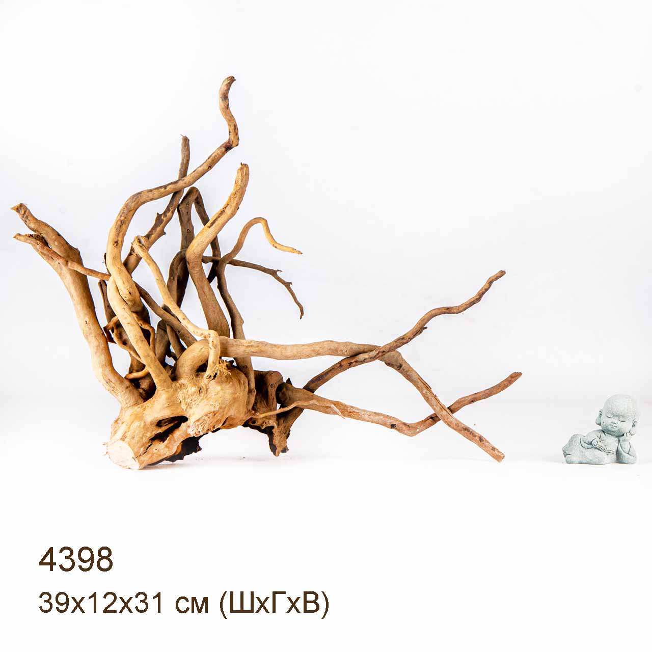 Коряга MASHA BLOOM Корень азалии L - 4398