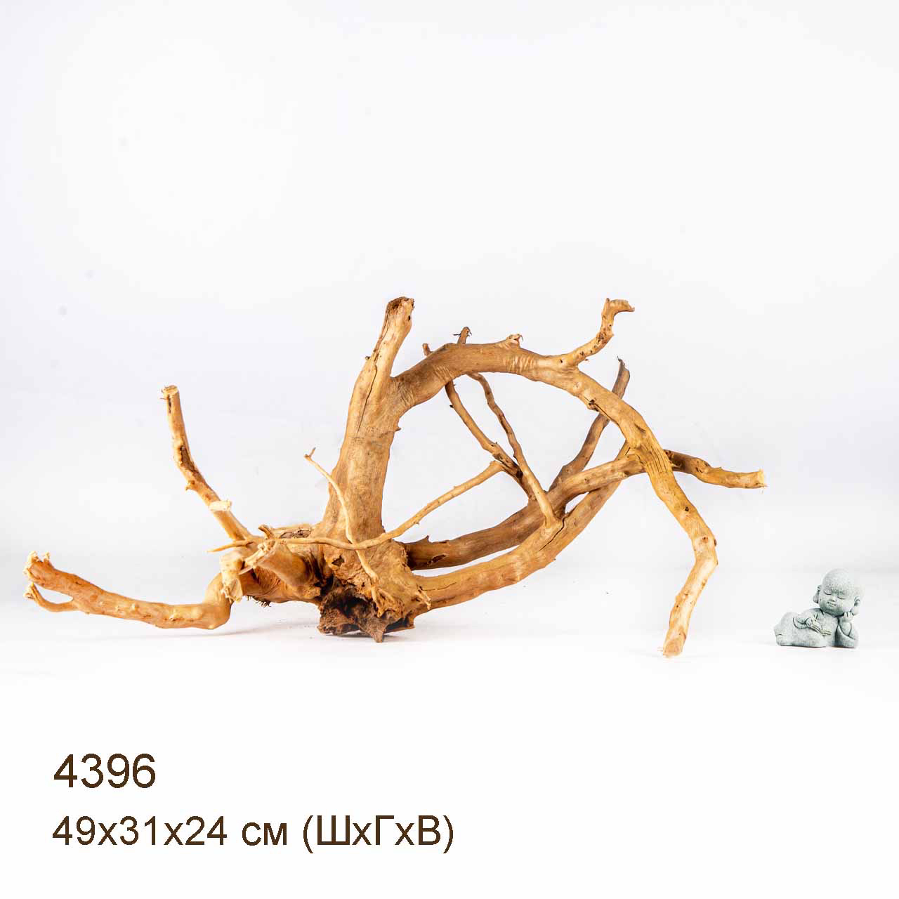 Коряга MASHA BLOOM Корень азалии L - 4396