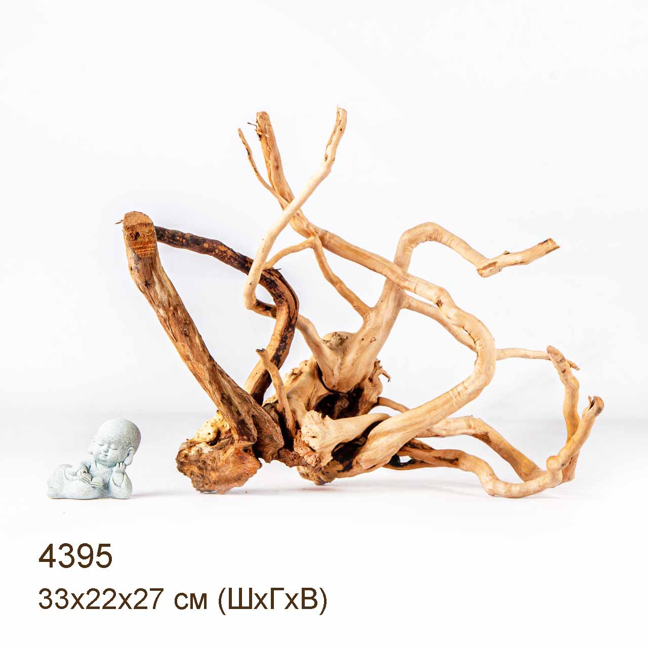 Коряга MASHA BLOOM Корень азалии L - 4395