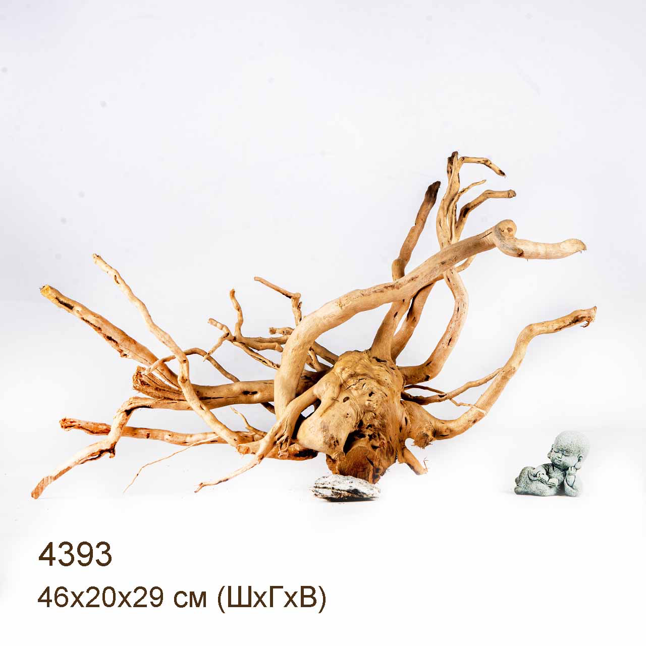 Коряга MASHA BLOOM Корень азалии L - 4393