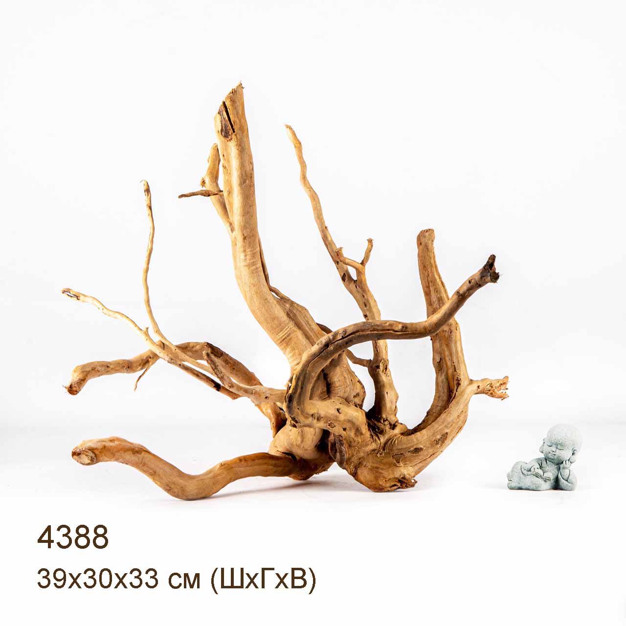 Коряга MASHA BLOOM Корень азалии L - 4388