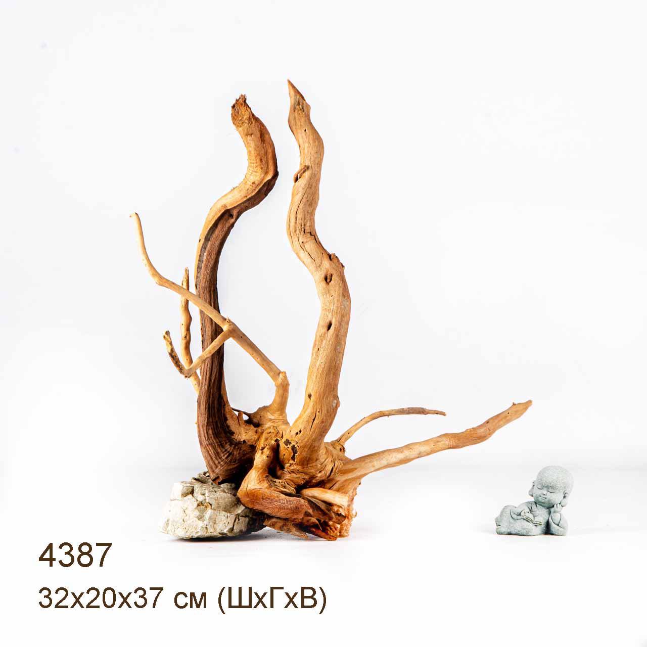 Коряга MASHA BLOOM Корень азалии L - 4387