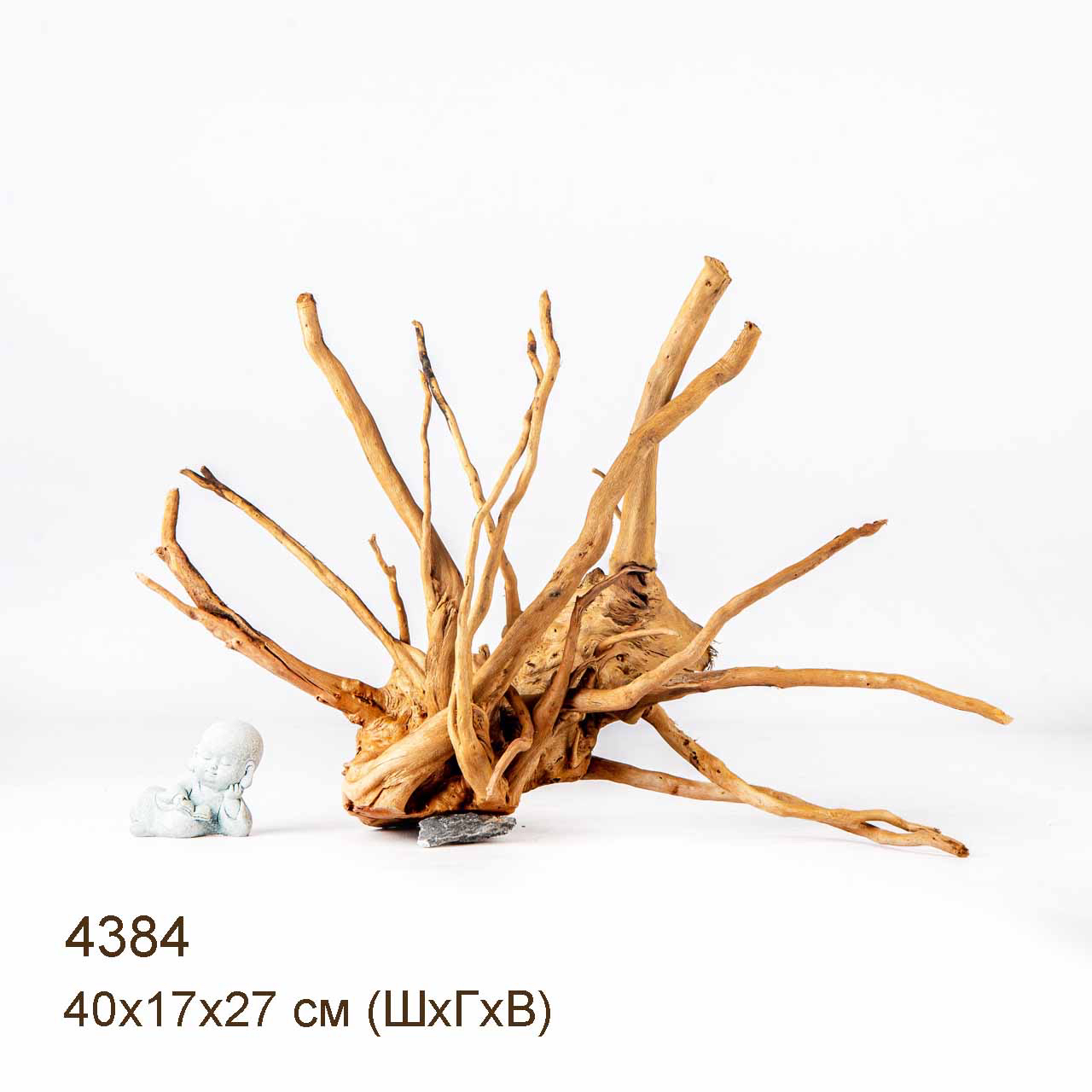 Коряга MASHA BLOOM Корень азалии L - 4384