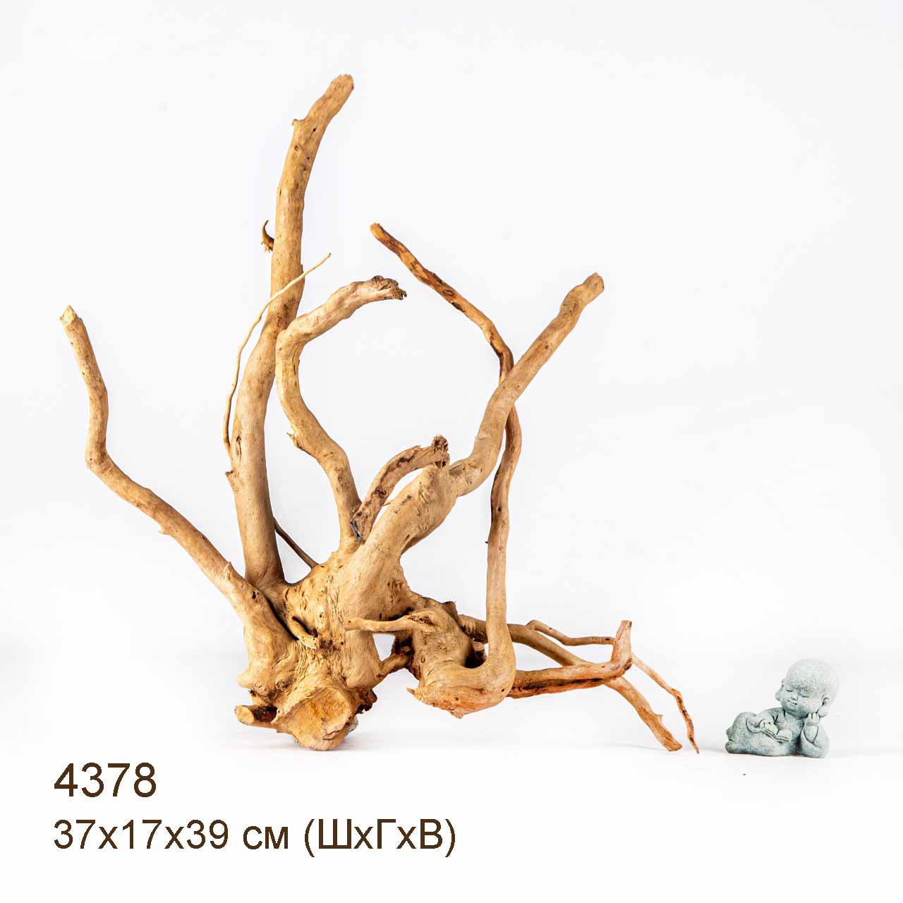 Коряга MASHA BLOOM Корень азалии L - 4378