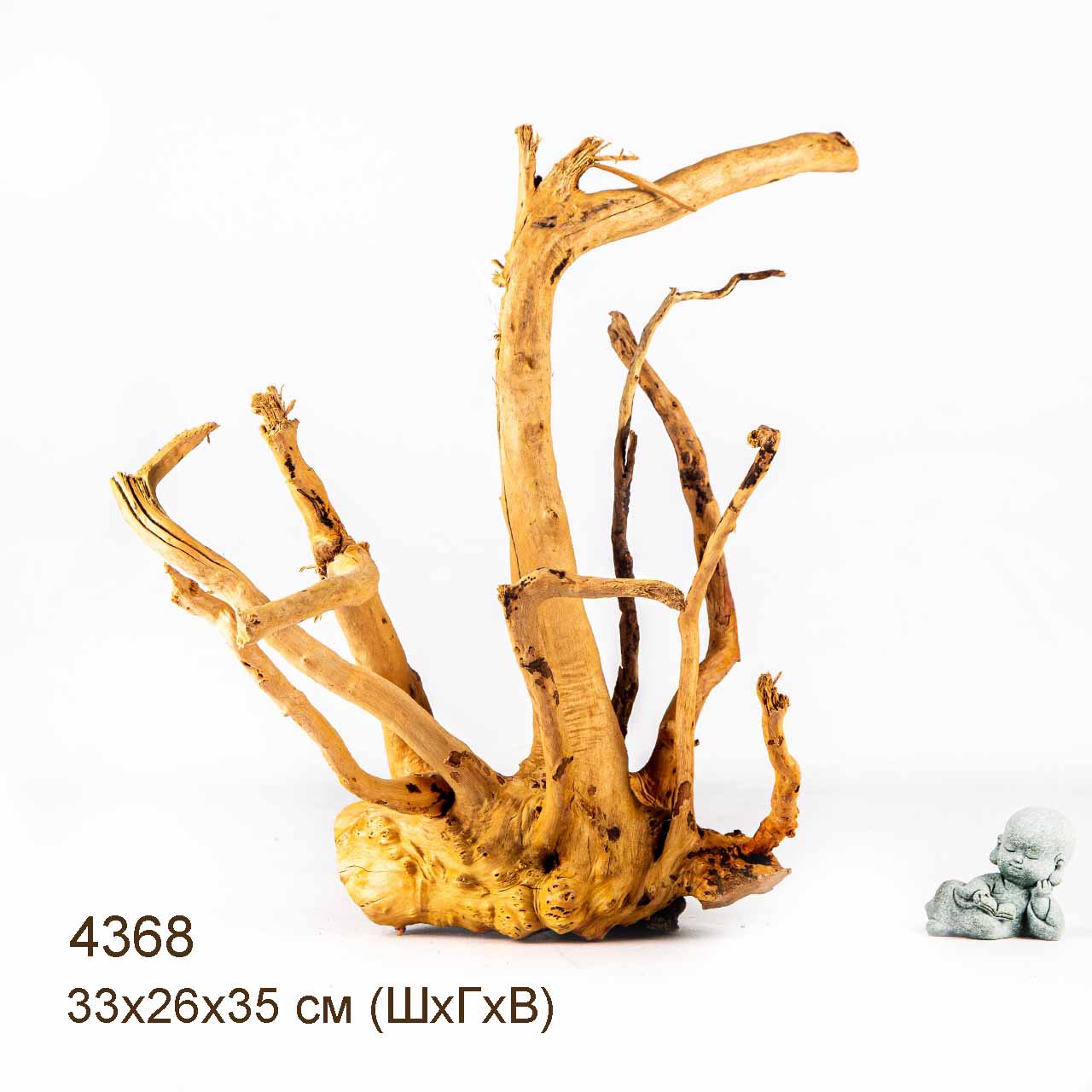 Коряга MASHA BLOOM Корень азалии L - 4368