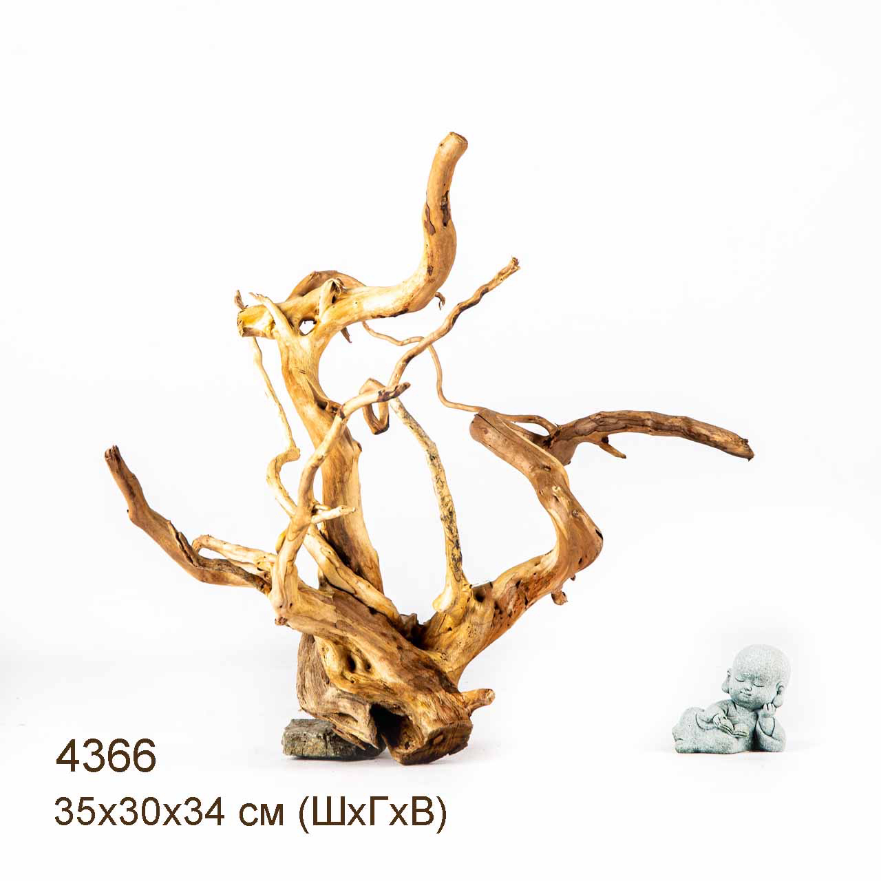 Коряга MASHA BLOOM Корень азалии L - 4366