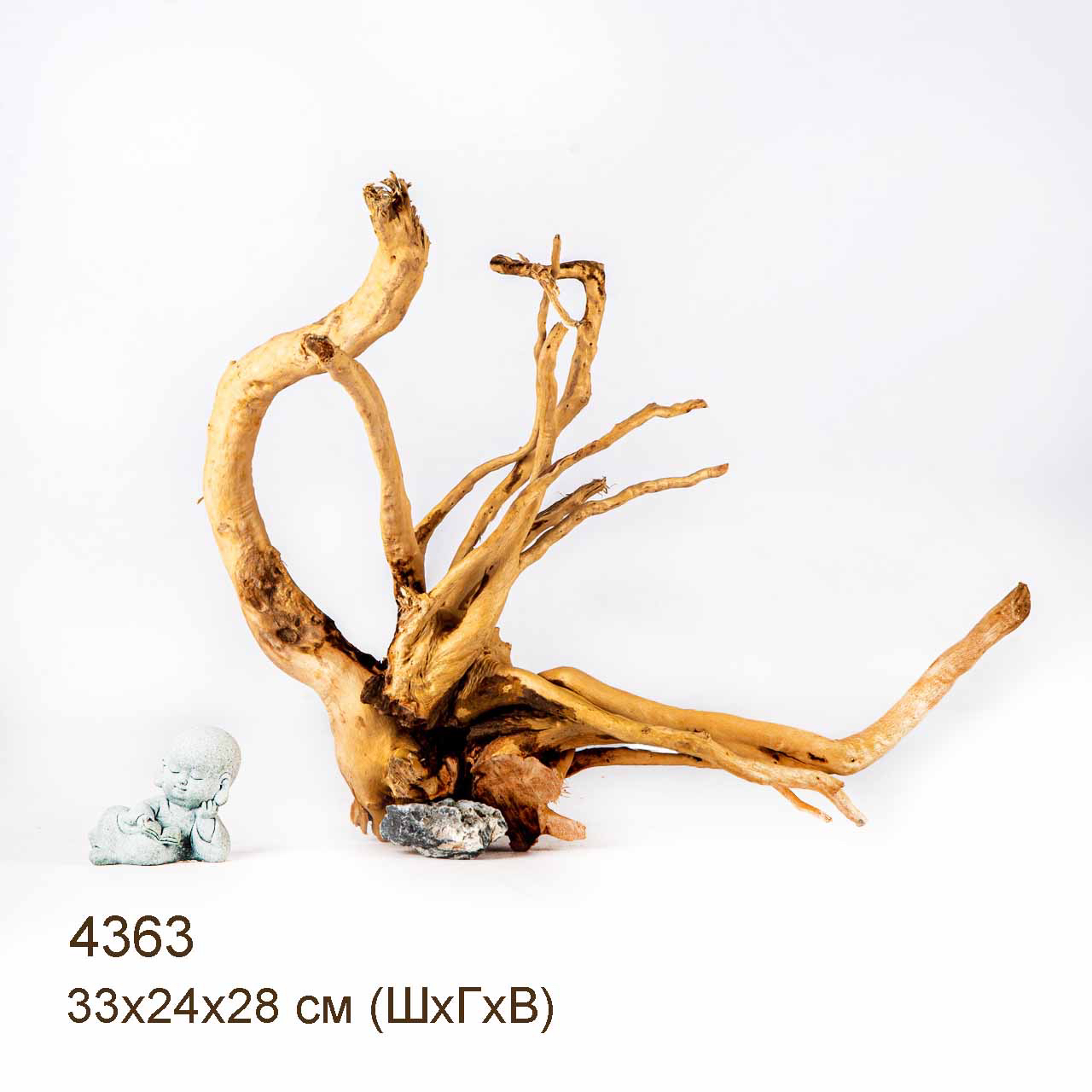 Коряга MASHA BLOOM Корень азалии L - 4363