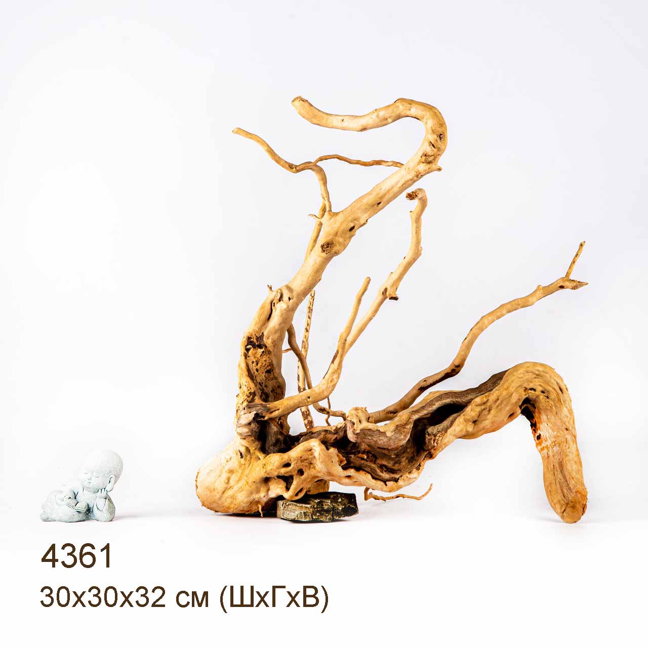 Коряга MASHA BLOOM Корень азалии L - 4361