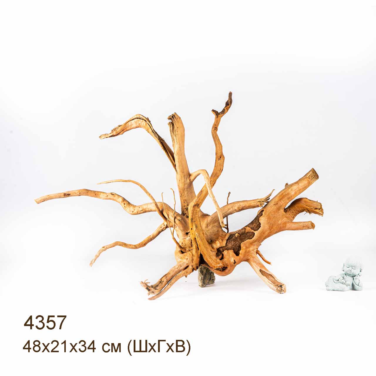 Коряга MASHA BLOOM Корень азалии L - 4357