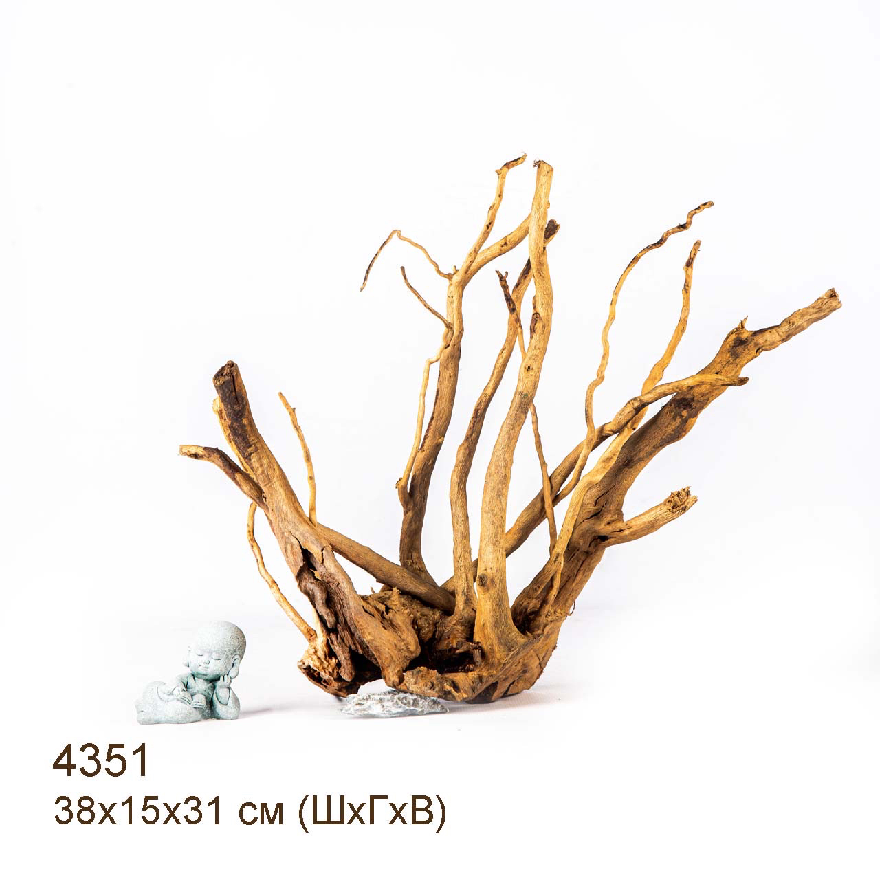 Коряга MASHA BLOOM Корень азалии L - 4351