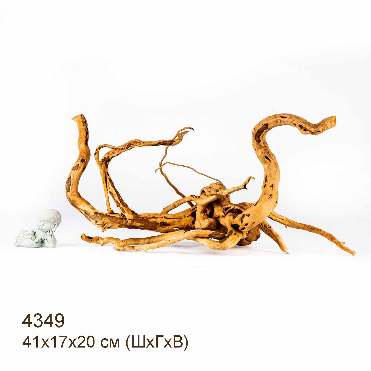 Коряга MASHA BLOOM Корень азалии L - 4349