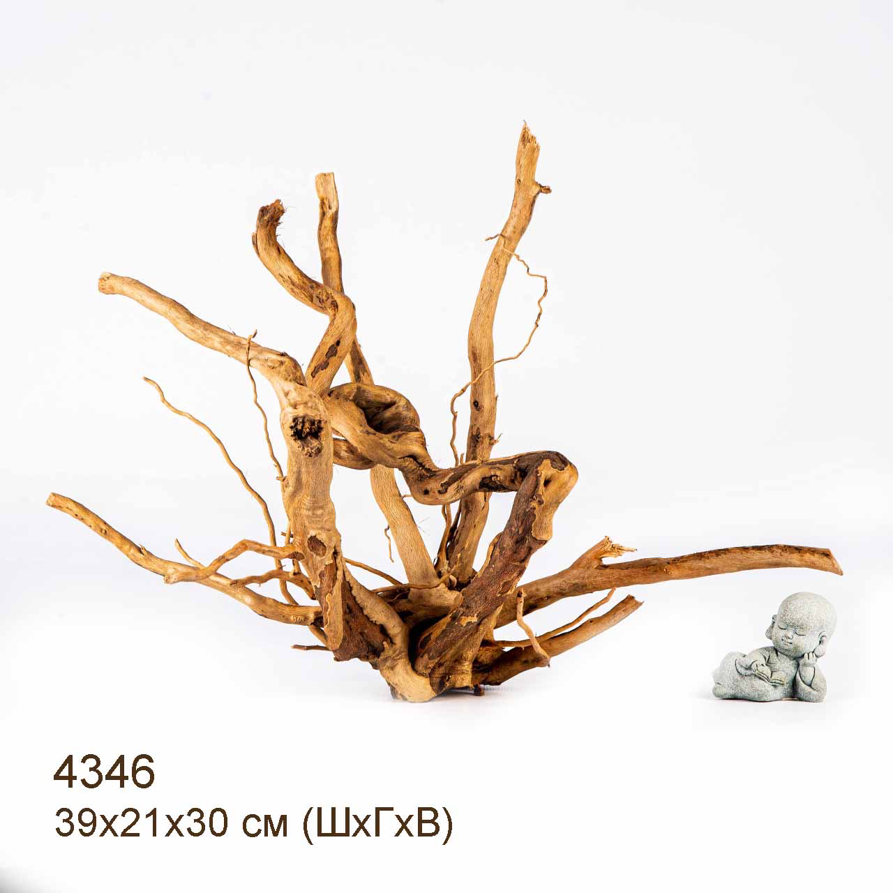 Коряга MASHA BLOOM Корень азалии L - 4346