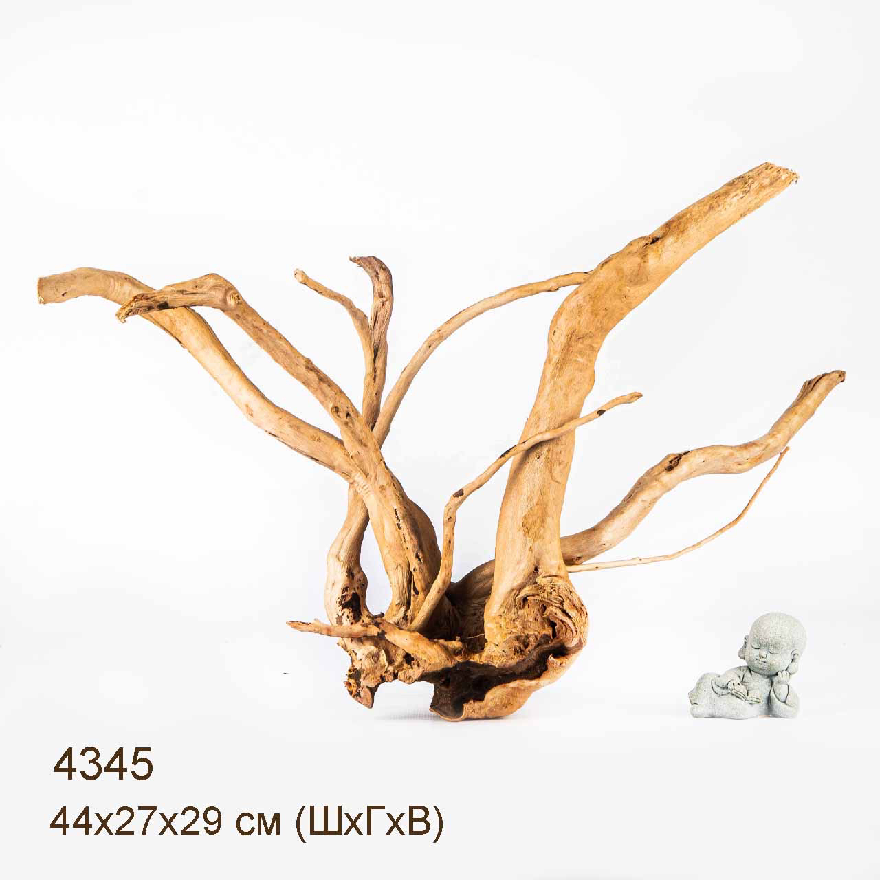 Коряга MASHA BLOOM Корень азалии L - 4345