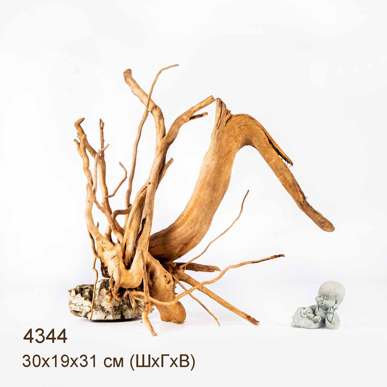 Коряга MASHA BLOOM Корень азалии L - 4344