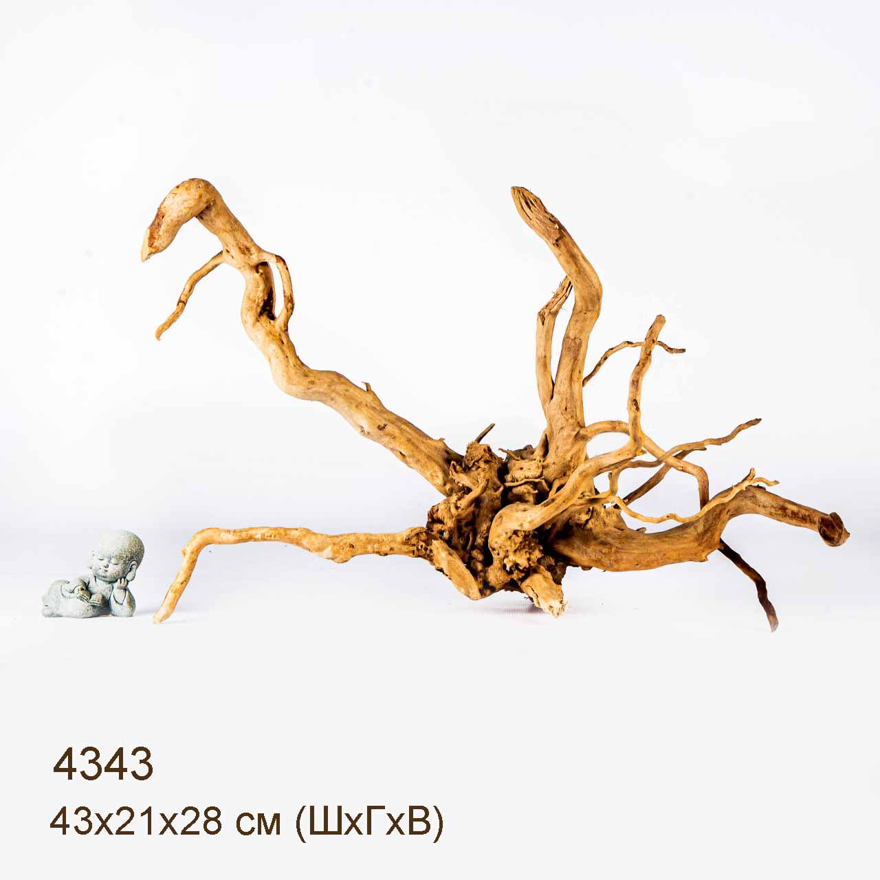 Коряга MASHA BLOOM Корень азалии L - 4343