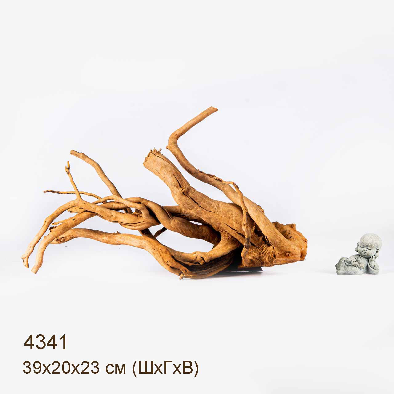 Коряга MASHA BLOOM Корень азалии L - 4341