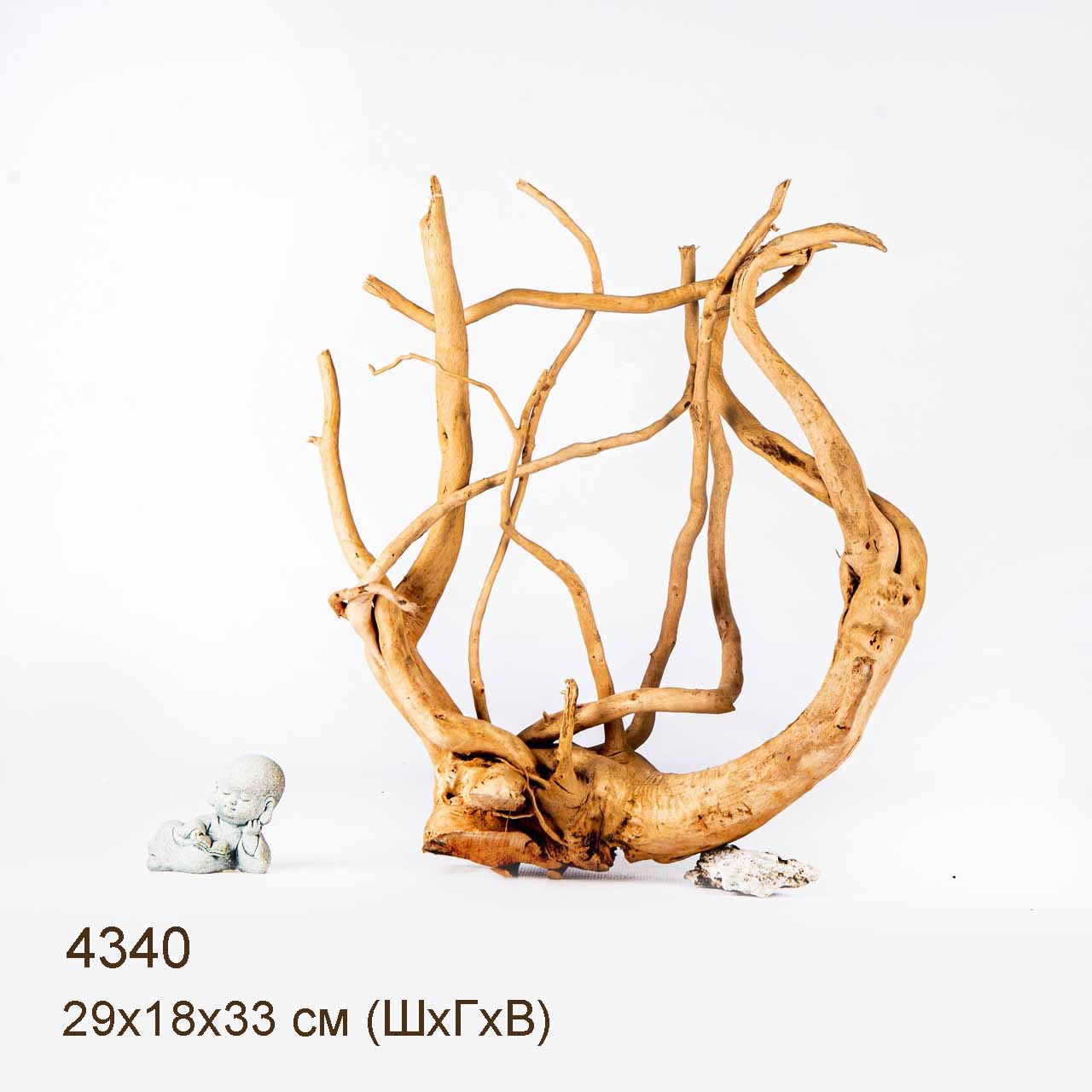 Коряга MASHA BLOOM Корень азалии L - 4340