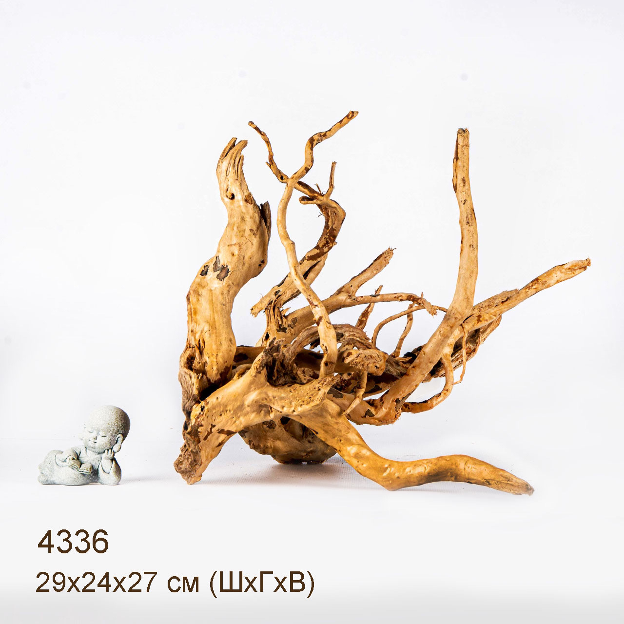 Коряга MASHA BLOOM Корень азалии L - 4336