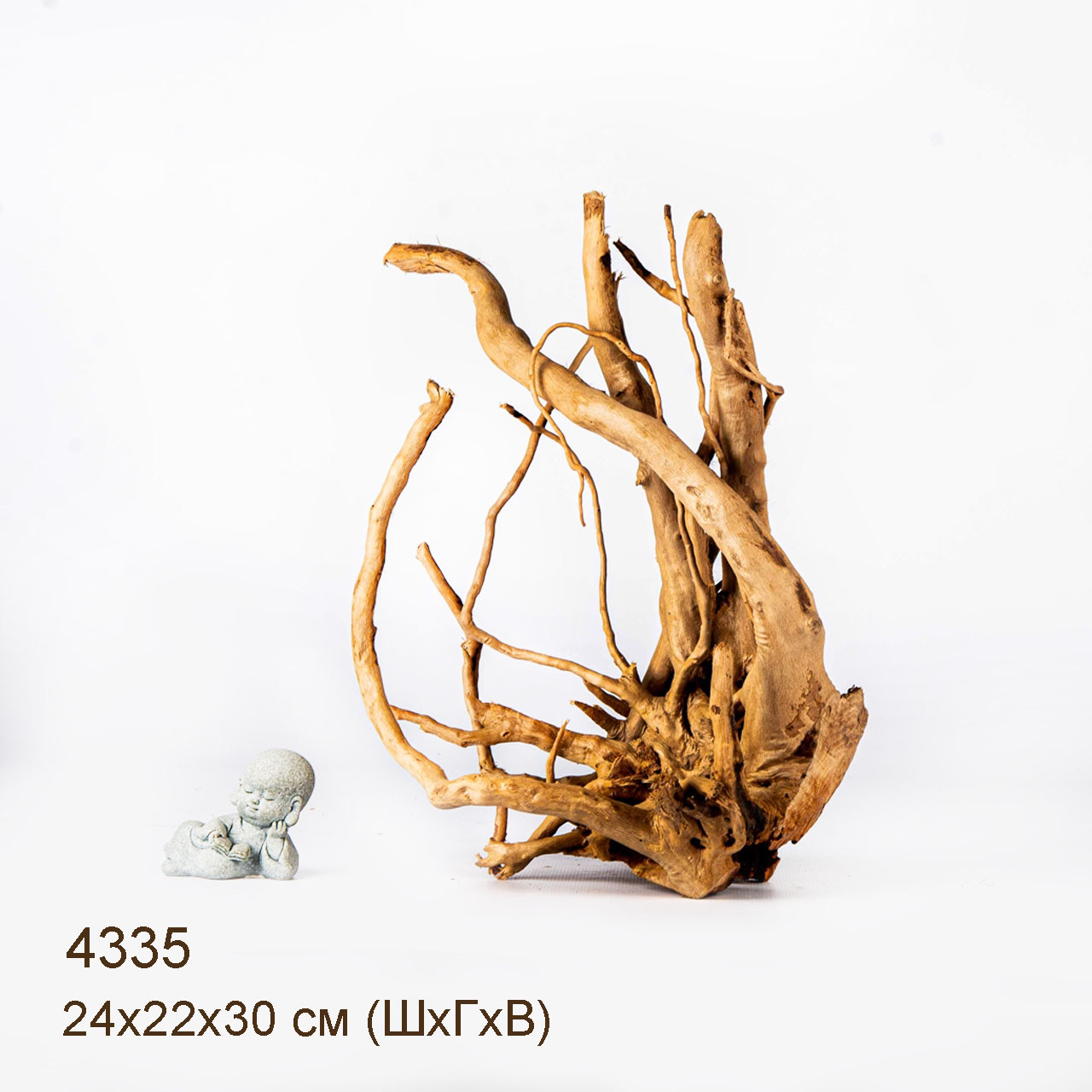 Коряга MASHA BLOOM Корень азалии L - 4335