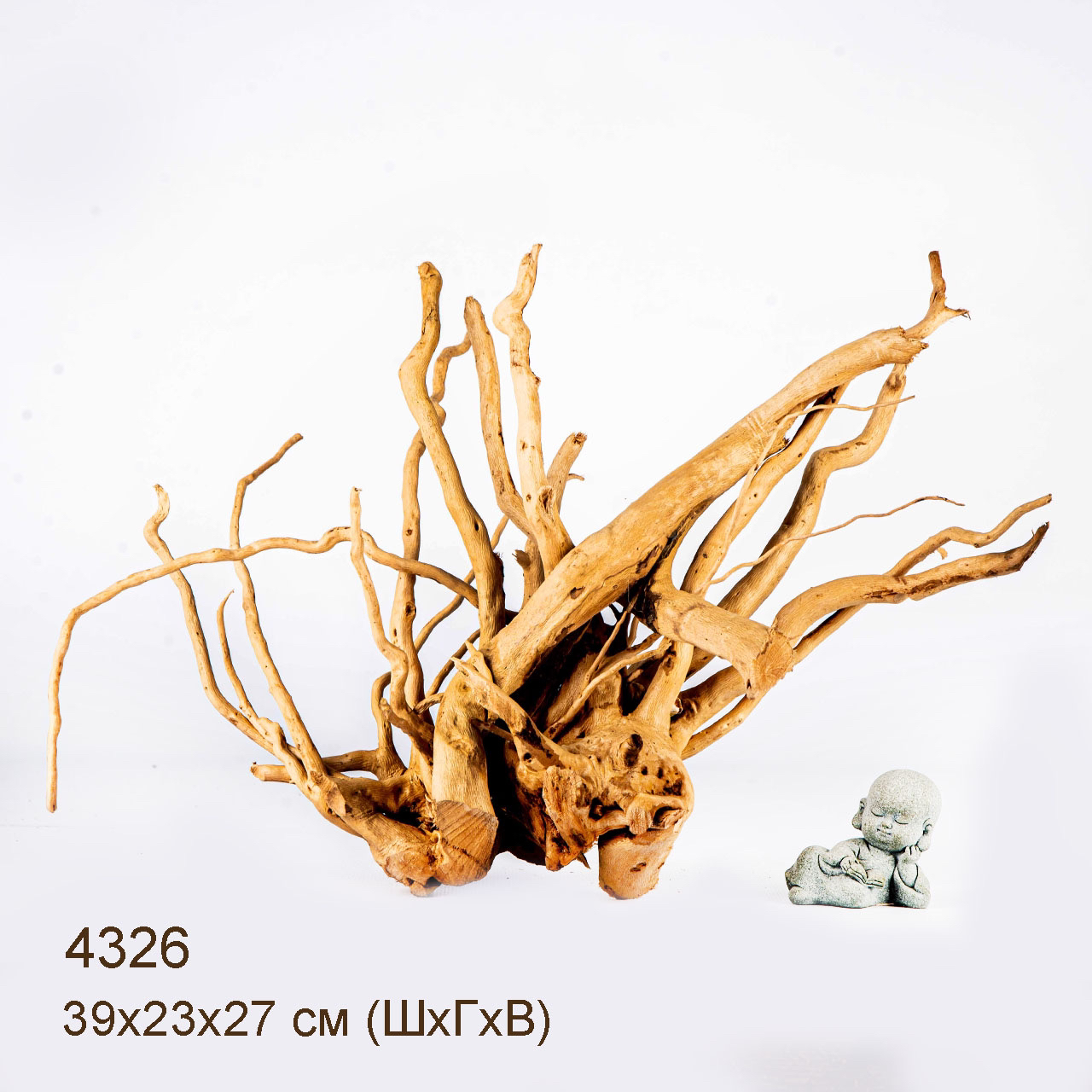 Коряга MASHA BLOOM Корень азалии L - 4326