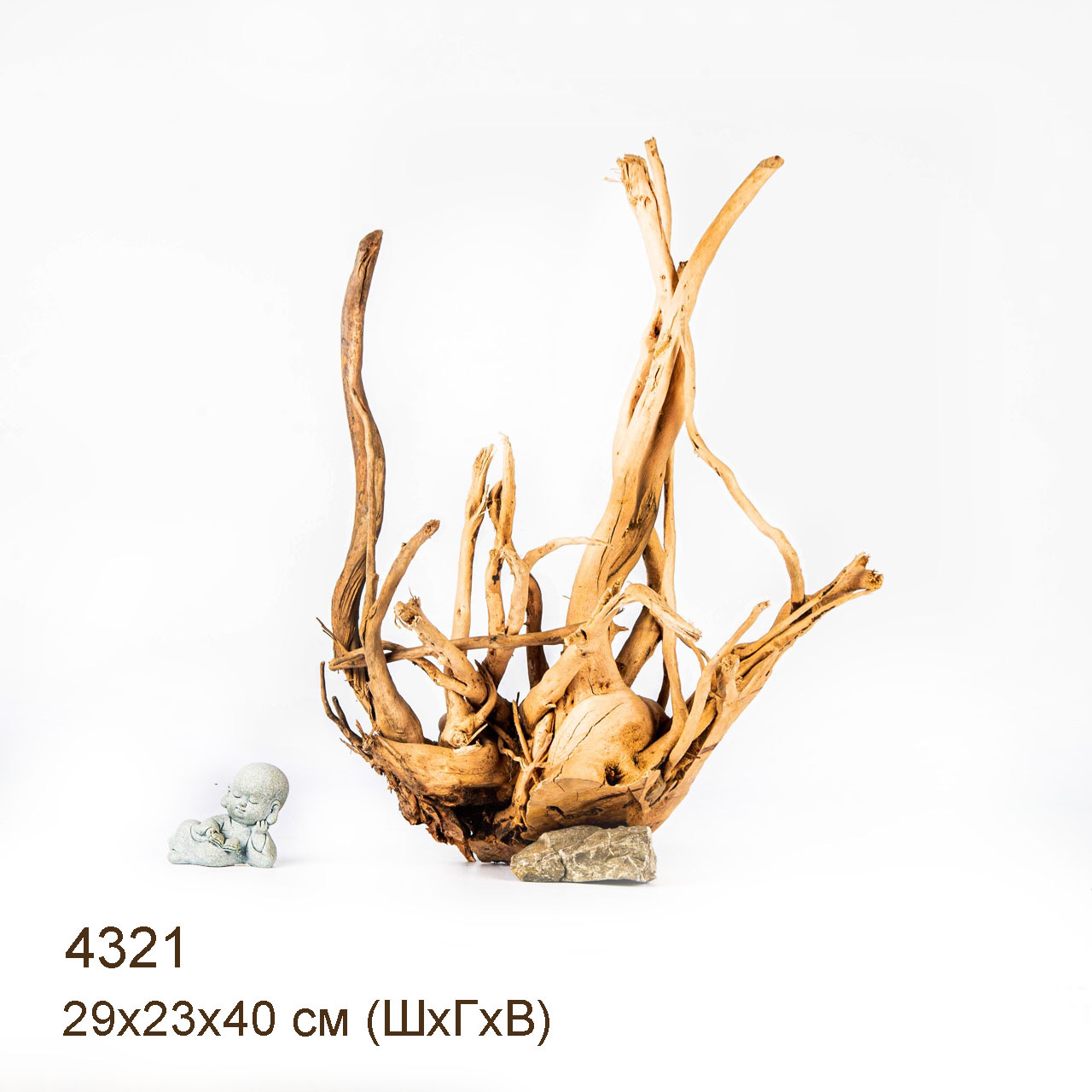 Коряга MASHA BLOOM Корень азалии L - 4321