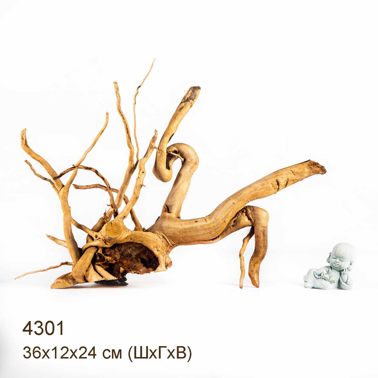 Коряга MASHA BLOOM Корень азалии L - 4301