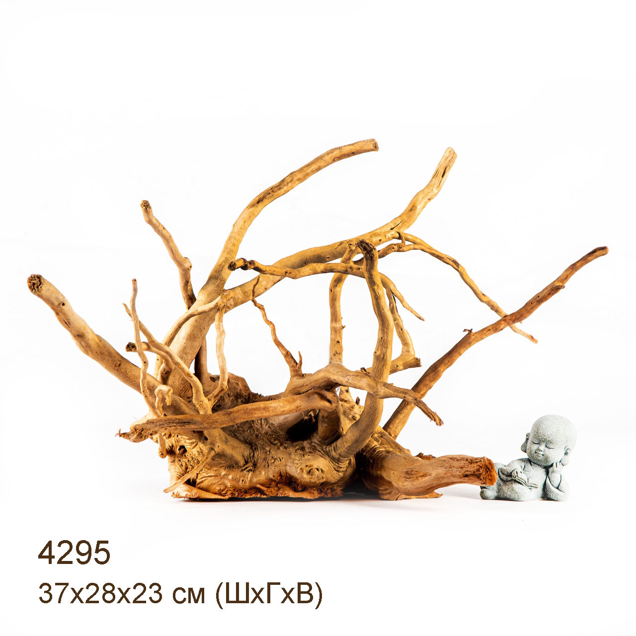 Коряга MASHA BLOOM Корень азалии L - 4295