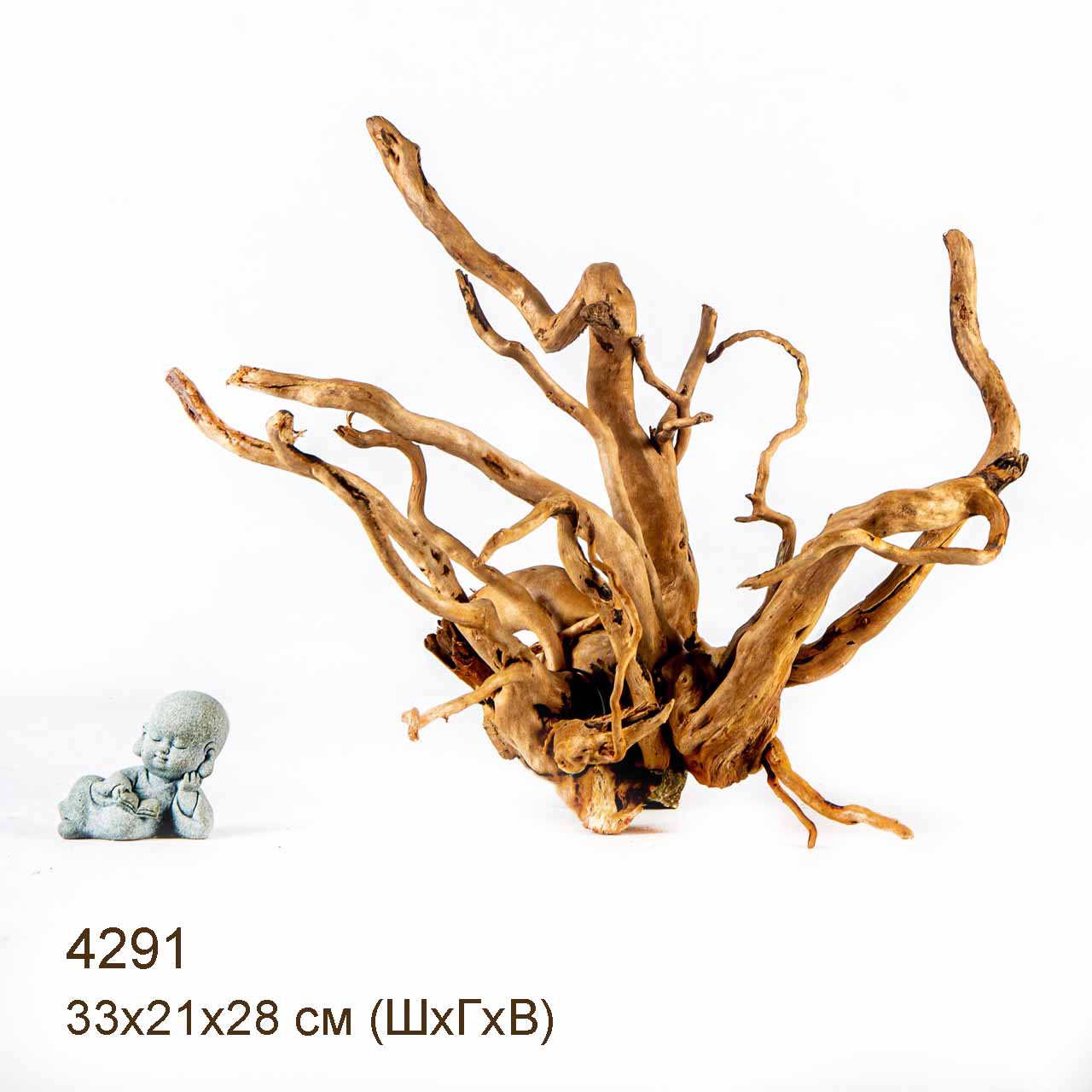 Коряга MASHA BLOOM Корень азалии L - 4291