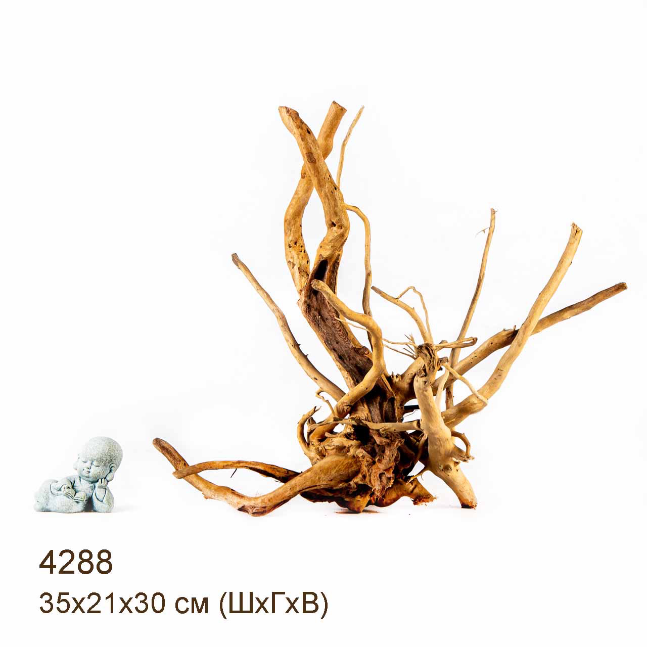 Коряга MASHA BLOOM Корень азалии L - 4288