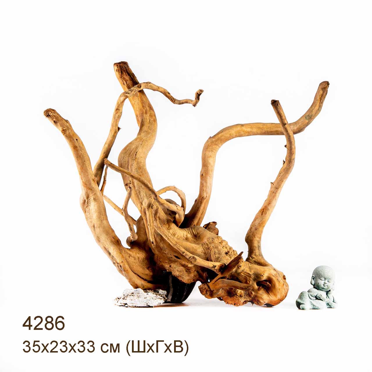 Коряга MASHA BLOOM Корень азалии L - 4286