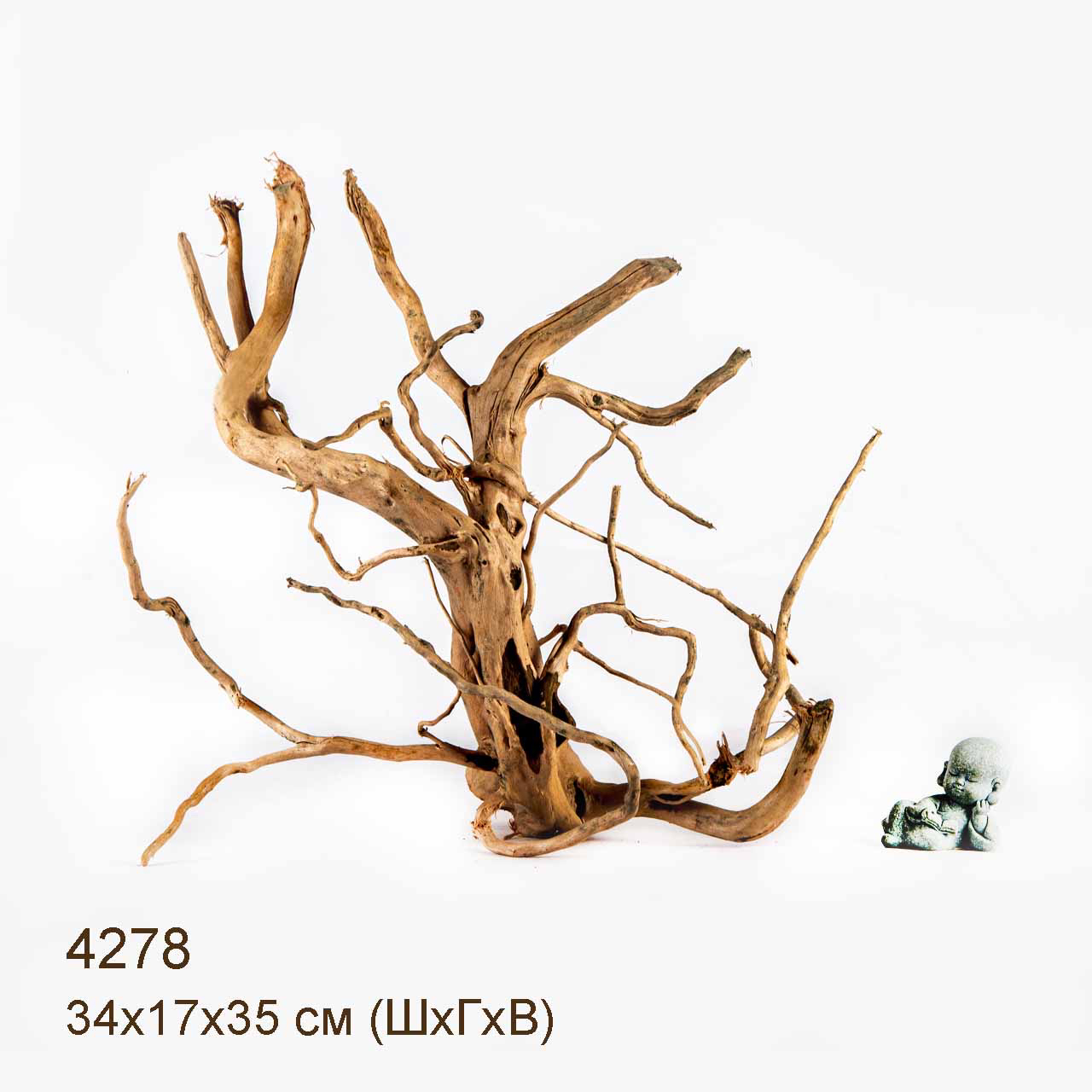 Коряга MASHA BLOOM Корень азалии L - 4278