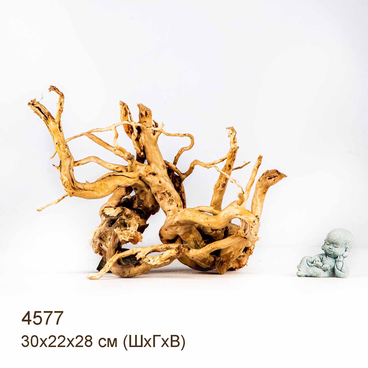 Коряга MASHA BLOOM Корень азалии M - 4577