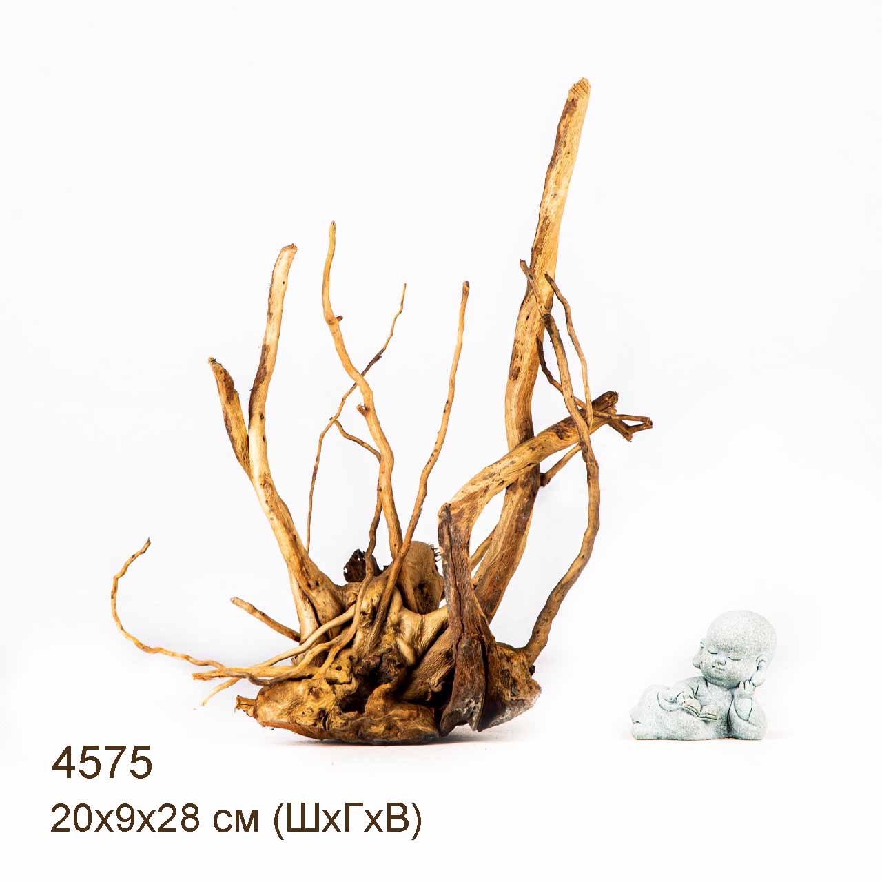 Коряга MASHA BLOOM Корень азалии M - 4575