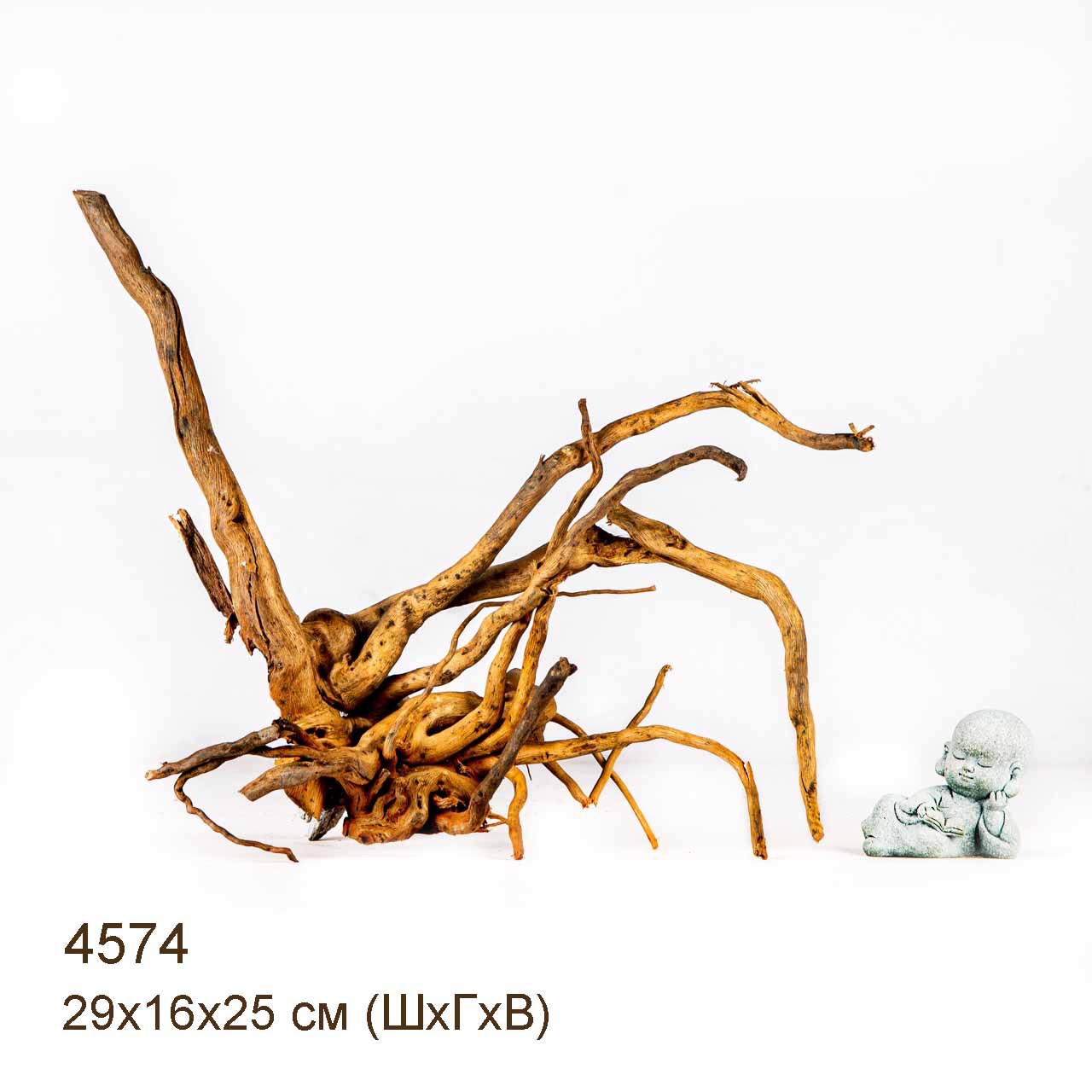 Коряга MASHA BLOOM Корень азалии M - 4574