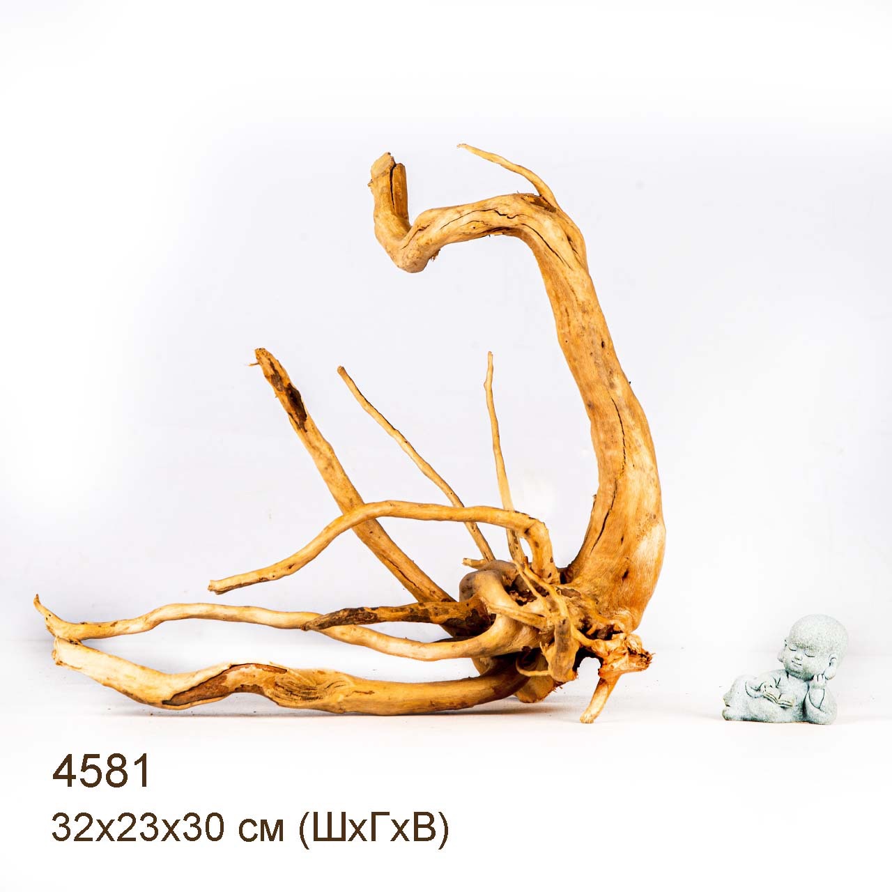 Коряга MASHA BLOOM Корень азалии M - 4581