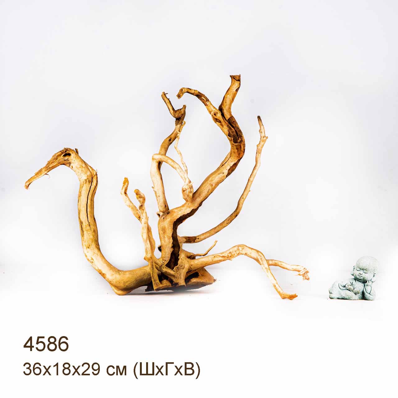 Коряга MASHA BLOOM Корень азалии M - 4586