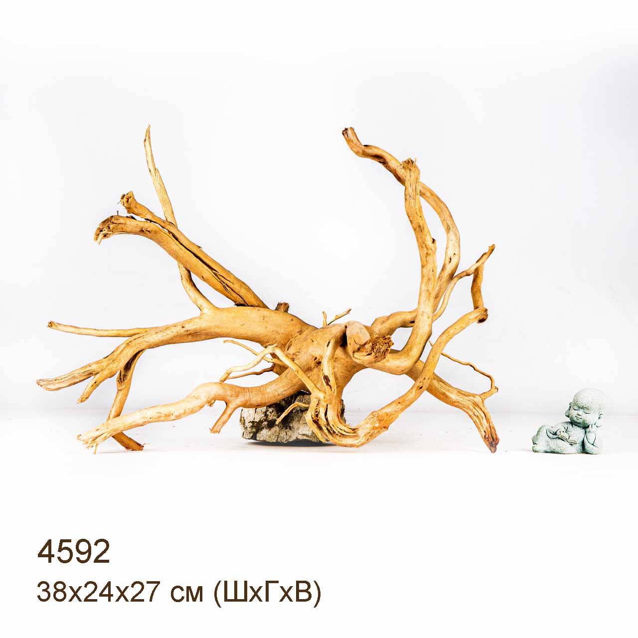 Коряга MASHA BLOOM Корень азалии M - 4592