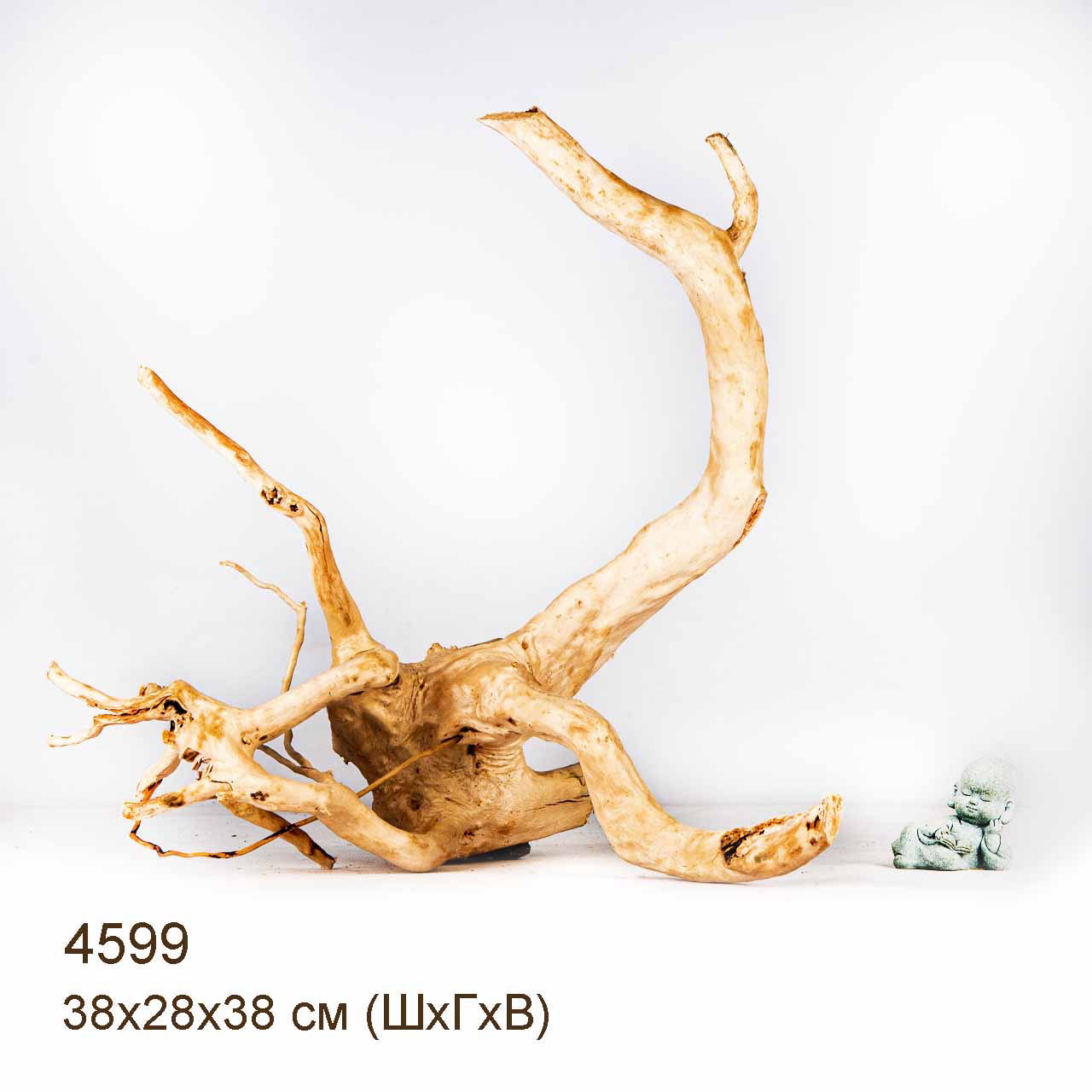 Коряга MASHA BLOOM Корень азалии M - 4599