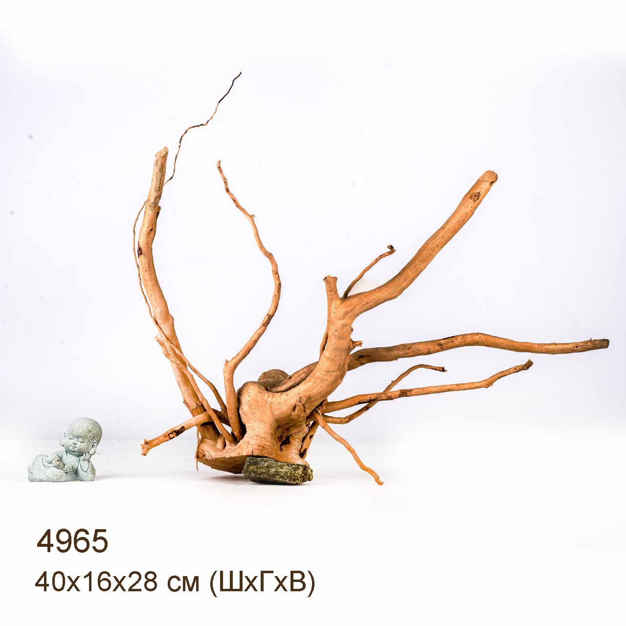 Коряга MASHA BLOOM Корень азалии S - 4965