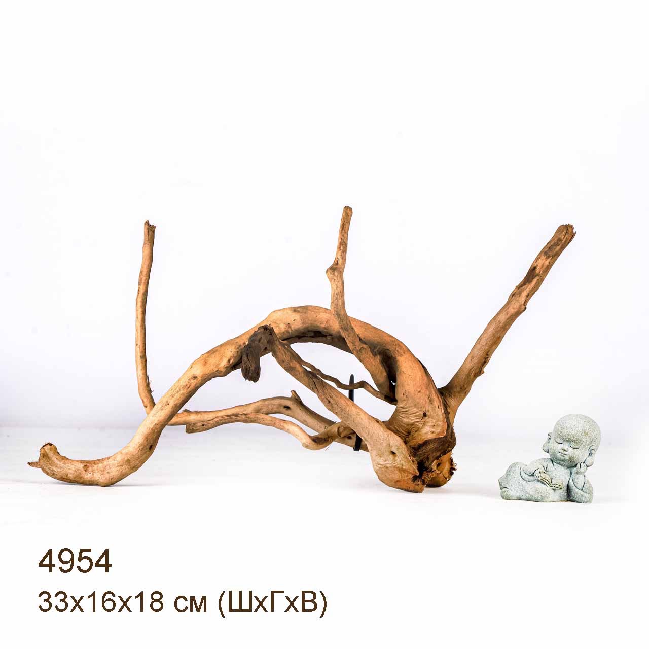 Коряга MASHA BLOOM Корень азалии S - 4954