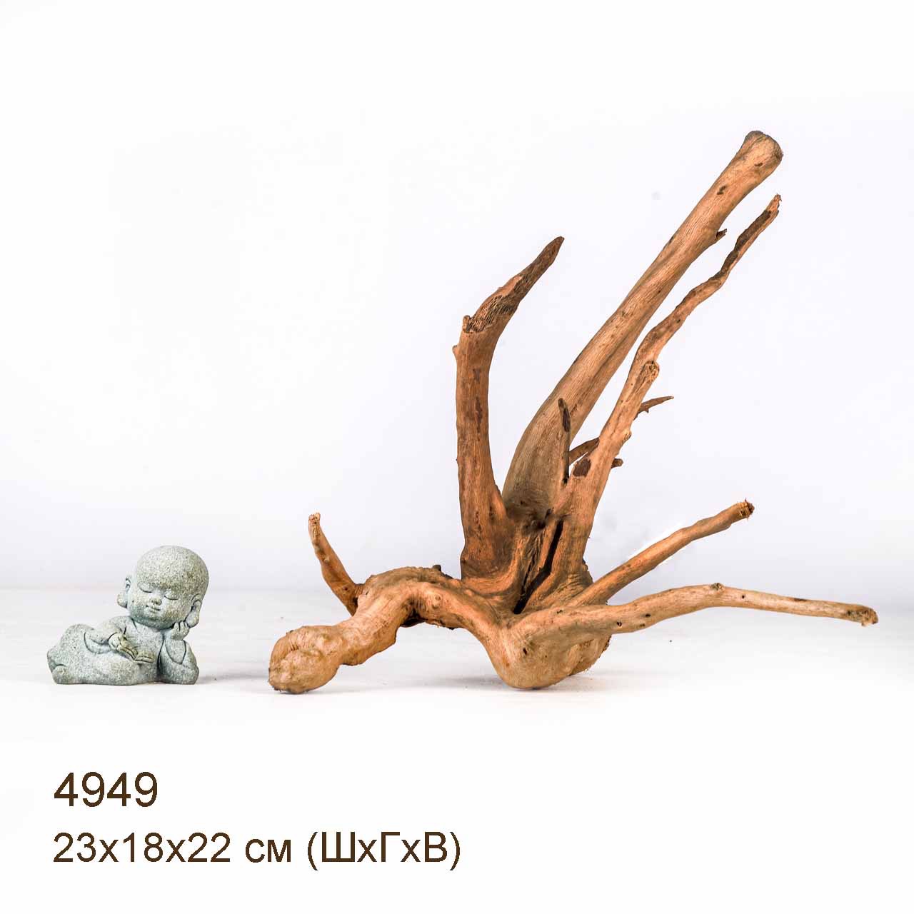 Коряга MASHA BLOOM Корень азалии S - 4949