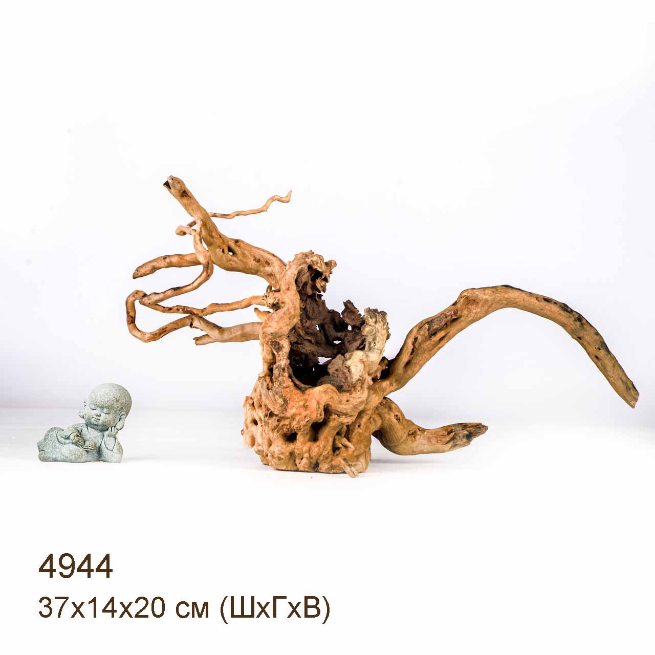 Коряга MASHA BLOOM Корень азалии S - 4944