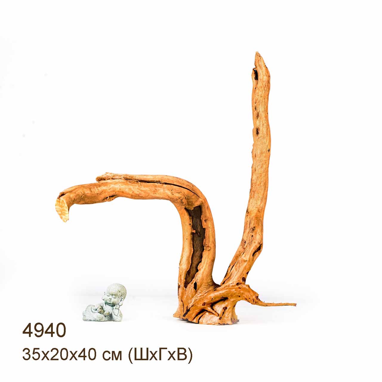 Коряга MASHA BLOOM Корень азалии S - 4940