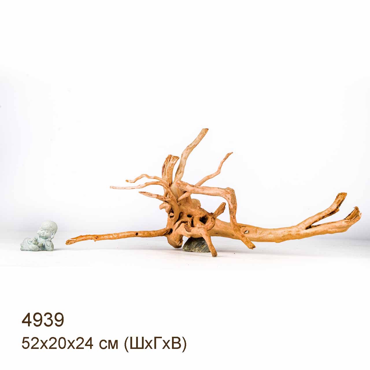 Коряга MASHA BLOOM Корень азалии S - 4939