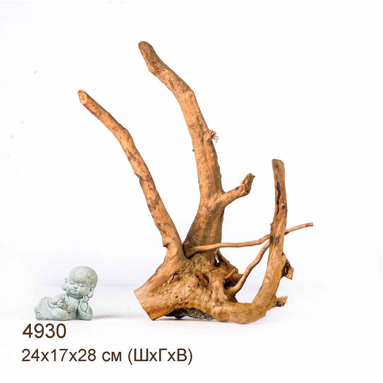 Коряга MASHA BLOOM Корень азалии S - 4930