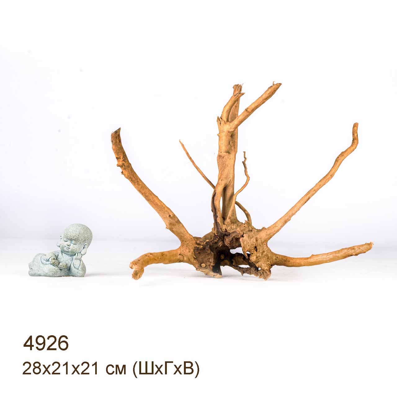 Коряга MASHA BLOOM Корень азалии S - 4926