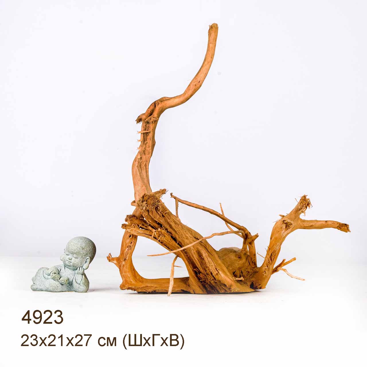 Коряга MASHA BLOOM Корень азалии S - 4923