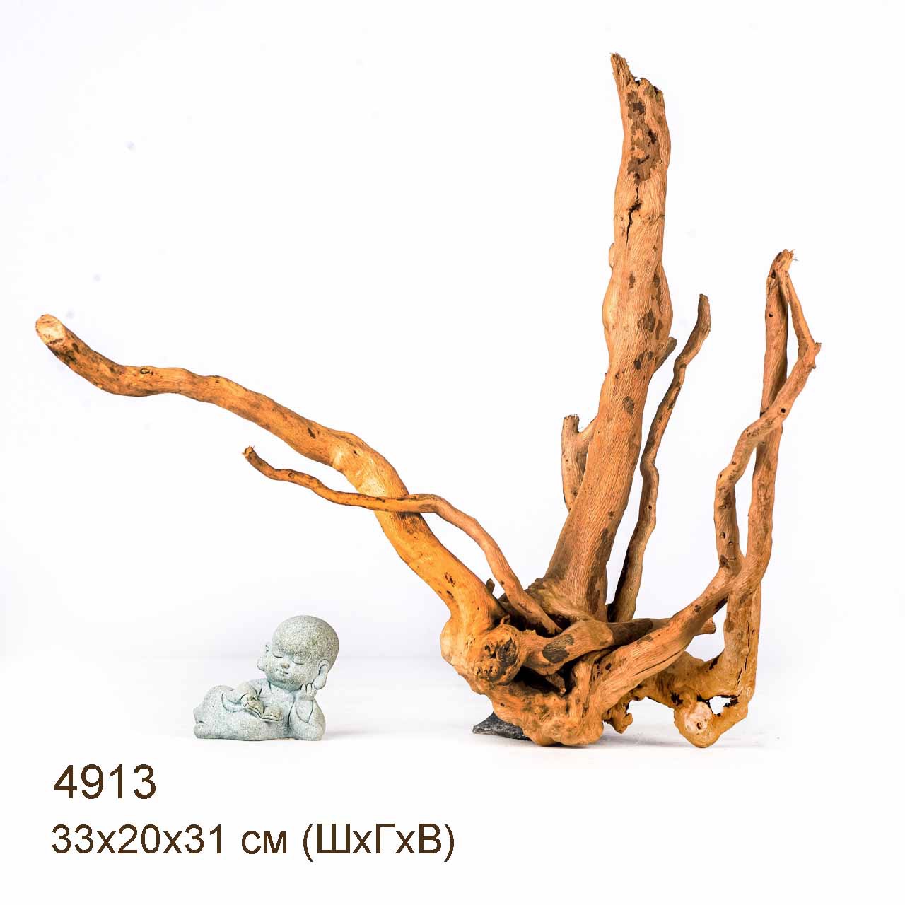 Коряга MASHA BLOOM Корень азалии S - 4913