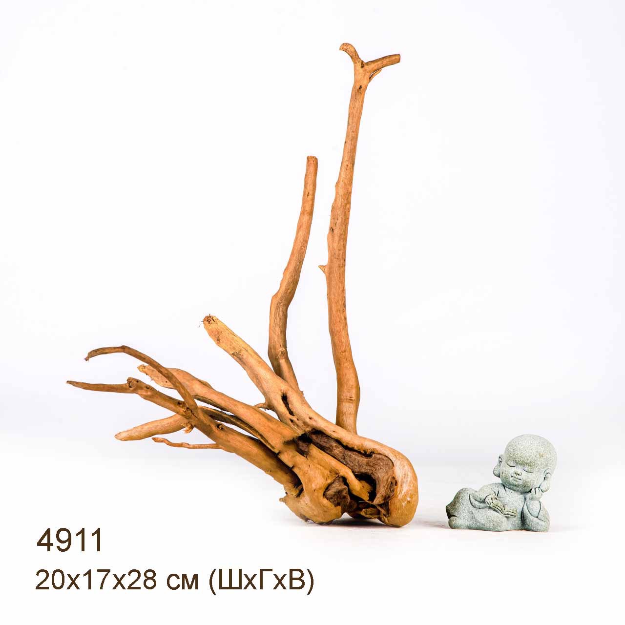 Коряга MASHA BLOOM Корень азалии S - 4911